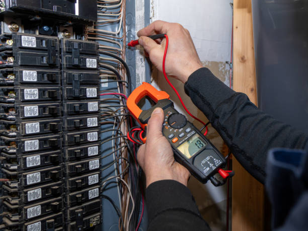 Best Electric Panel Repair  in Hannibal, MO